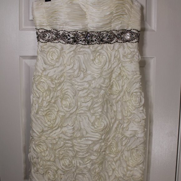 Formal/Wedding Dress - Picture 5 of 11